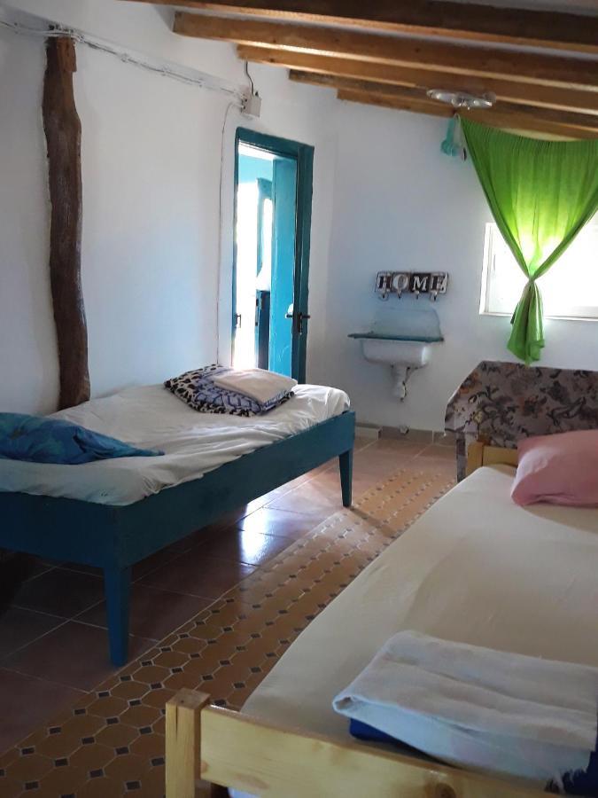 Danube Delta Hostel Homestay & Camping Sulina Exteriör bild