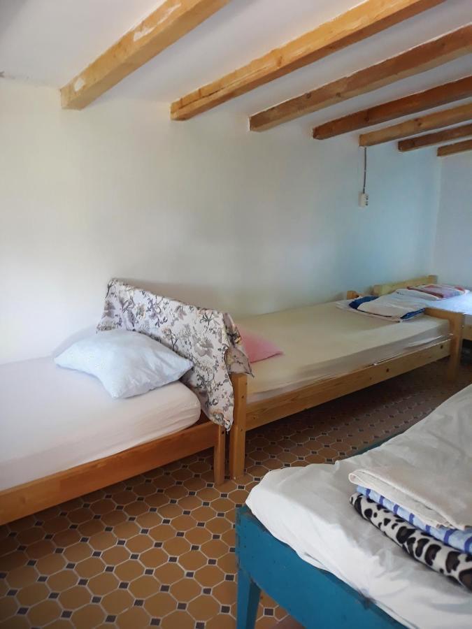 Danube Delta Hostel Homestay & Camping Sulina Exteriör bild