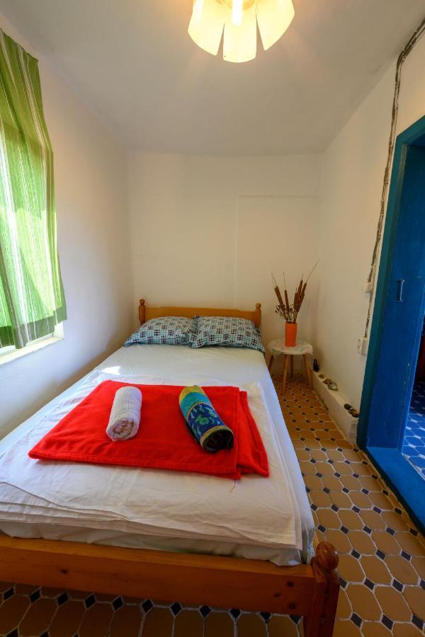 Danube Delta Hostel Homestay & Camping Sulina Exteriör bild