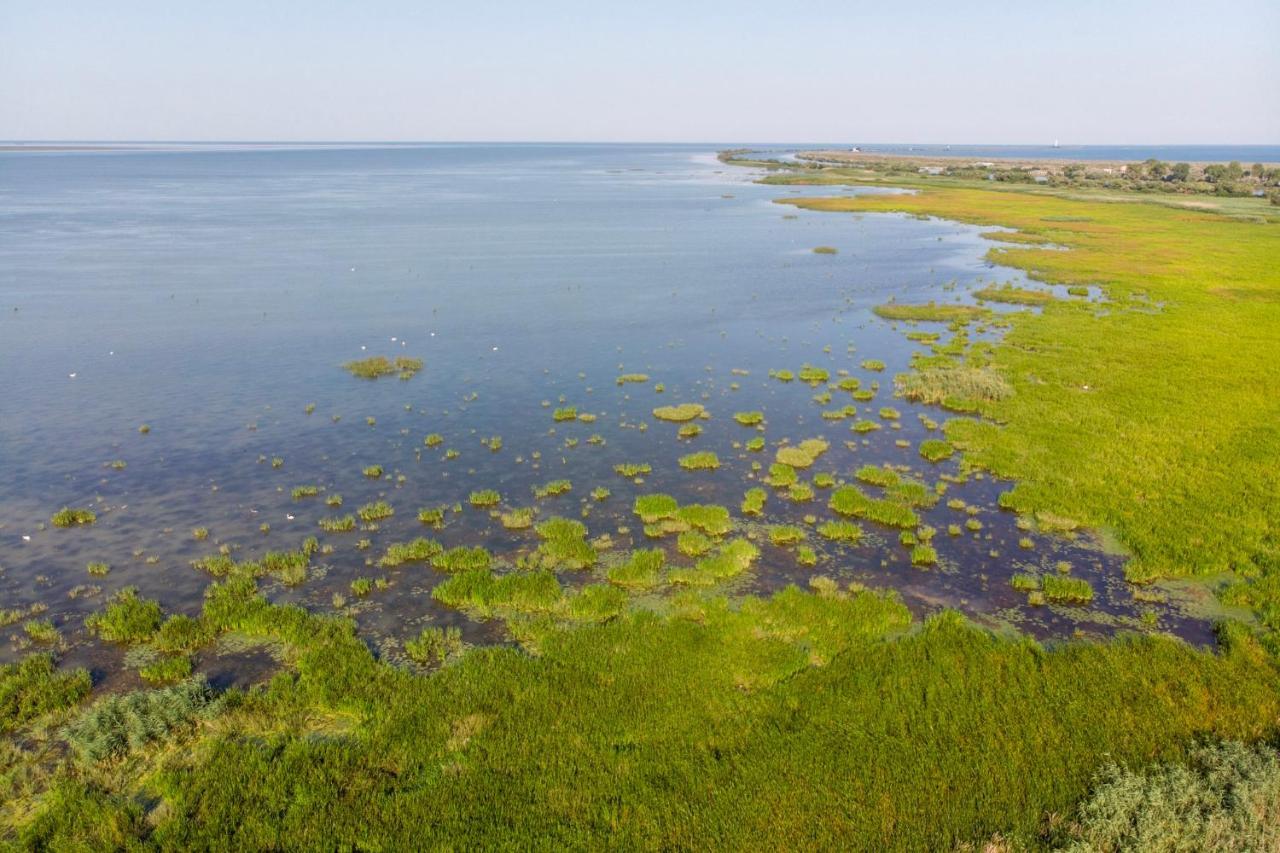 Danube Delta Hostel Homestay & Camping Sulina Exteriör bild